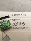 西船橋枝豆研究会、船橋産ブランド『えだまめ』