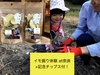 イモ掘り体験 at奈良 ＋ 記念の「おやつチップス」付き♩