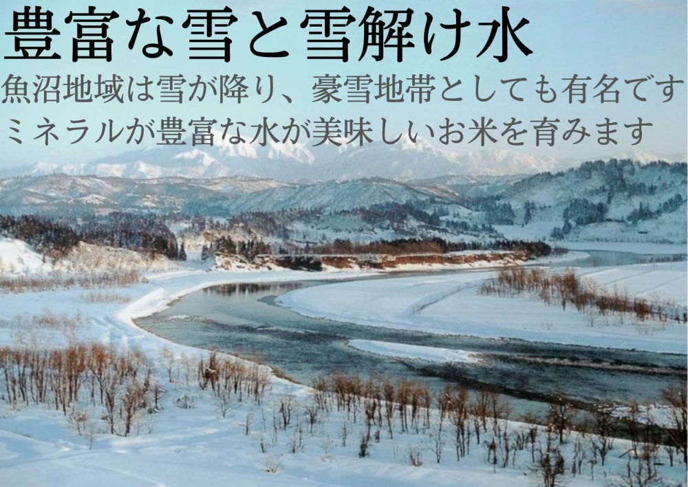 【令和5年新米】ふっくら旨い 魚沼産コシヒカリ 2kg 精米