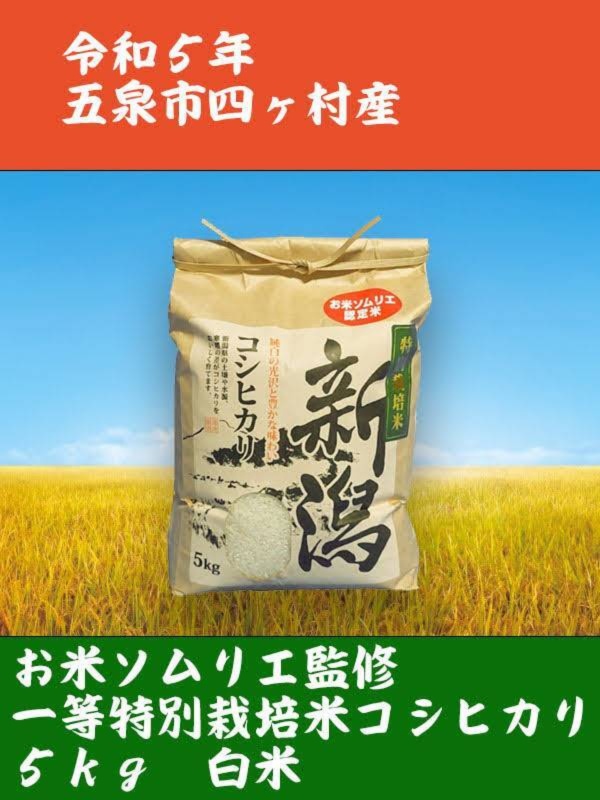 令和5年産ポケマル6周年福袋おまけ付き新潟特栽米コシヒカリ5kg白米