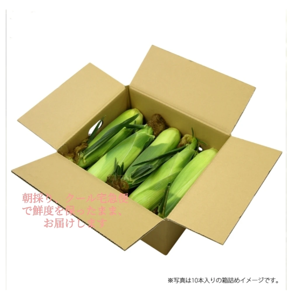 2023年予約　とうもろこし　恵味ゴルード　スイートコーン　L～2L産地直送 