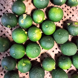 ラスト❢　即日発送!!【訳あり】すだち農薬不使用 1キロ　旬の野菜のおまけ付き！