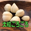 【大セール】青森県産ミネラルむきにんにくたっぷり500g➕おまけ増量