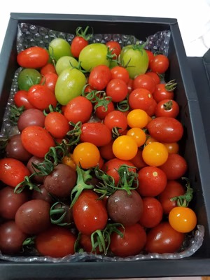 みんなの投稿の画像