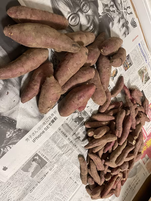 みんなの投稿の画像