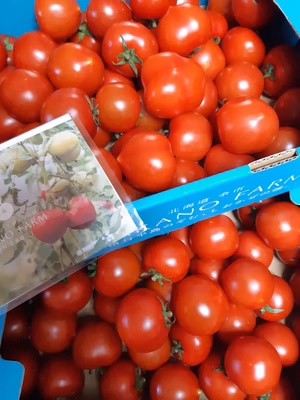 みんなの投稿の画像