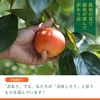 送料無料❗️パンダの富有柿【訳あり】２kg 食べやすい量でお届け♪A品B品混合