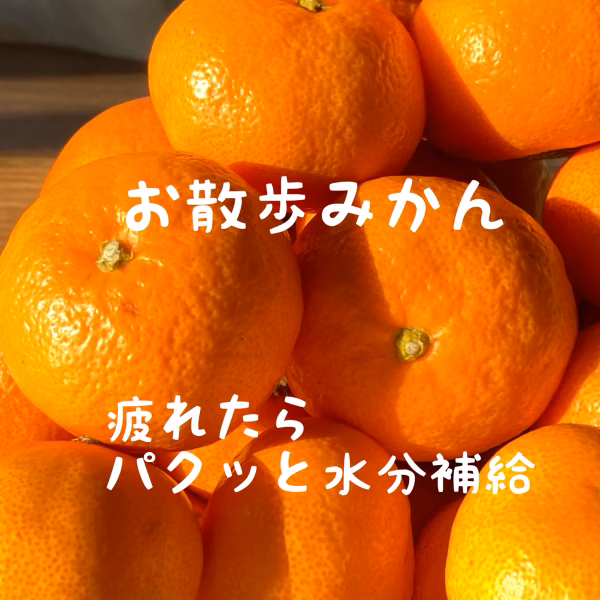  お散歩みかん　Sサイズ4㎏　家庭用　早生みかん 山口岩国みかん 　