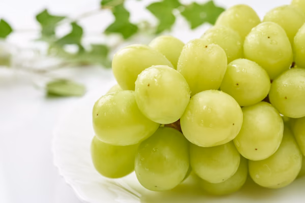 【牧丘天空マスカサーティーン】高貴な甘さ×爽やかな酸味×芳醇な香りの三重奏実現