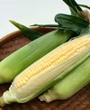 トウモロコシ 無農薬・化学肥料“不使用”