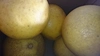 無農薬自然栽培の晩白柚5個(外皮に傷ありますが中身に影響なし)