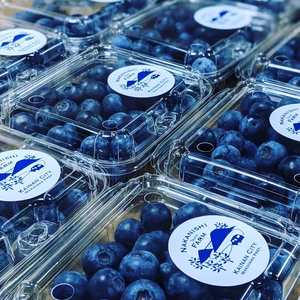 生ブルーベリー