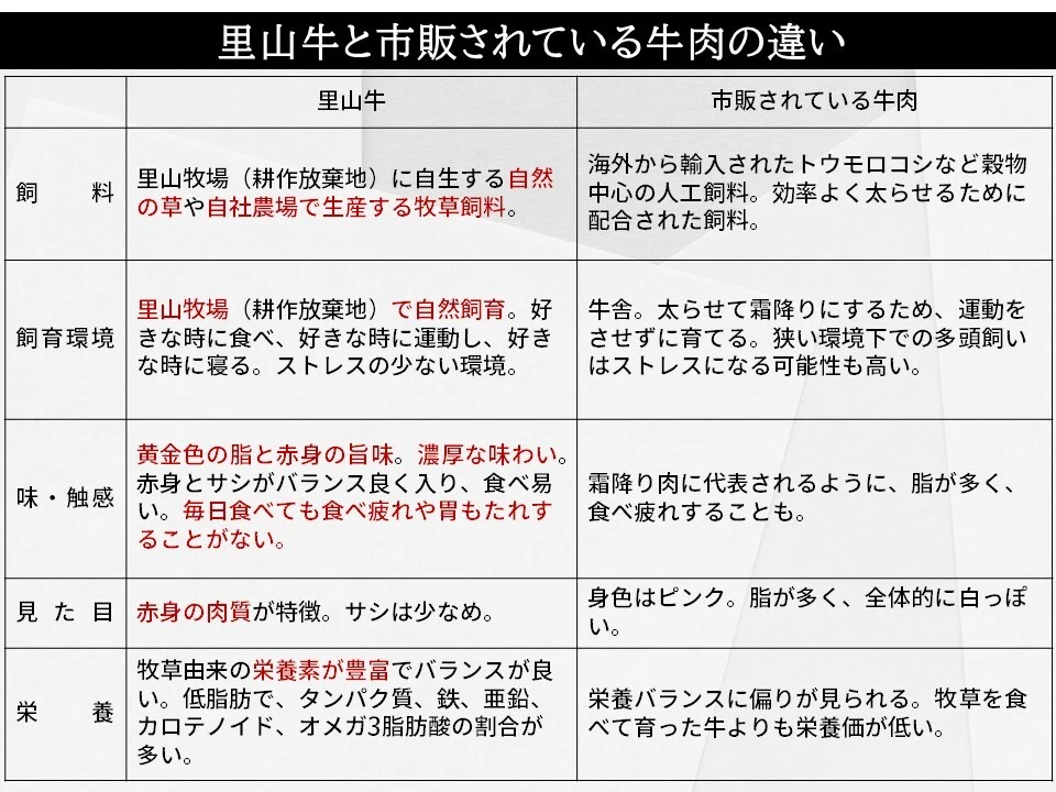 【福袋2023】里山牛 訳あり福箱第一弾・第二弾セット 出会いの宝箱♪