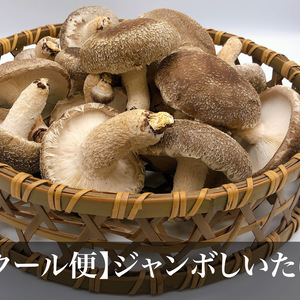【クール便】新品種入荷しました！肉厚ジャンボステーキしいたけ１㎏