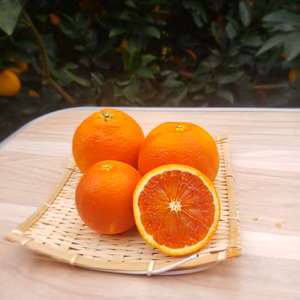 衝撃価格　ブラッドオレンジ２㌔　訳あり不知火デコ2.5㌔　でおまけつき