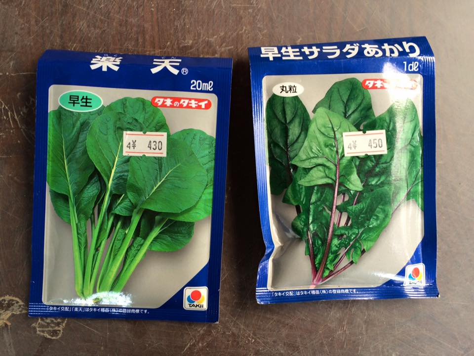 12651144_967303893359945_5212497331110211737_n