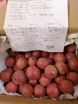 みんなの投稿の画像