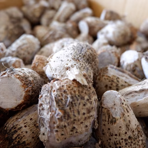 蒸し田芋（子芋）1kg