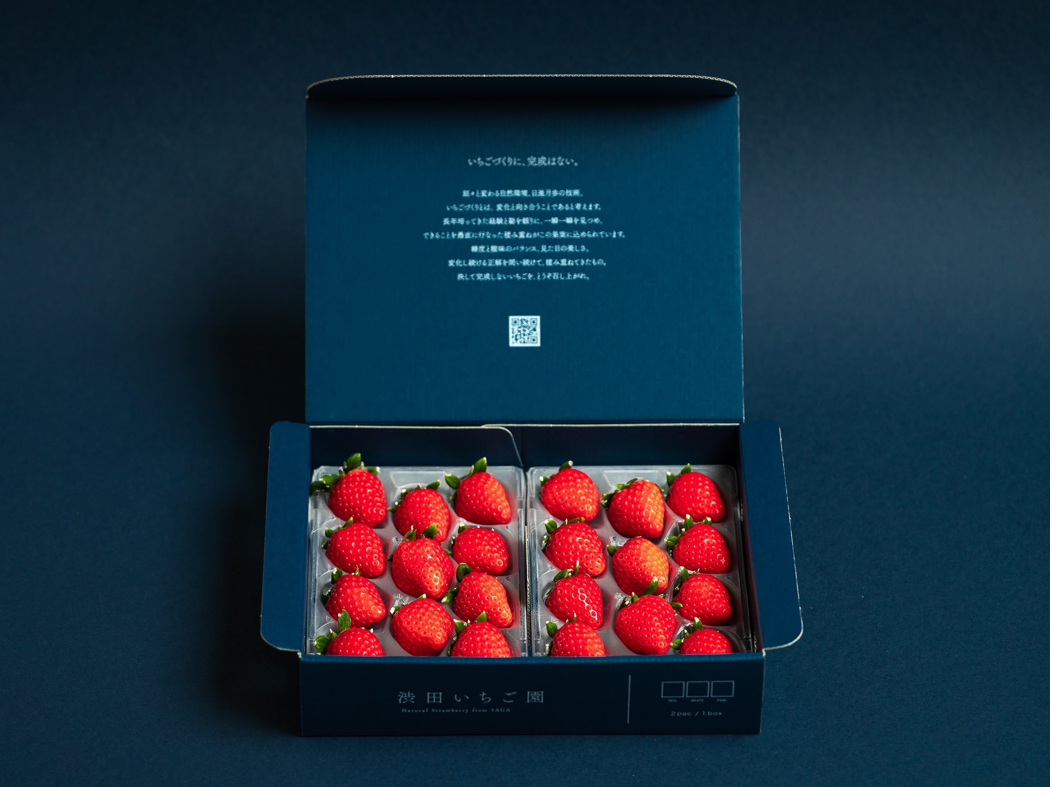 専用❤みかん♥もちぷに♥規格外…大きなブランケット☆Wボアケット