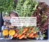 『体にやさしい。家計にうれしい！』旬の野菜セット