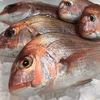 送料無料　毎日がスペシャル♪高級魚セット！花丸◎セット！