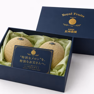【父の日ギフト】茨城県鉾田市産 アンデスメロン【特秀】2玉