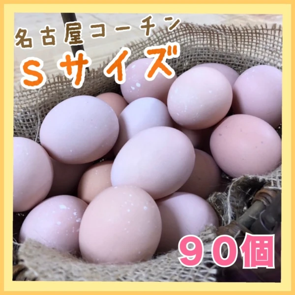 名古屋コーチン　90個 卵