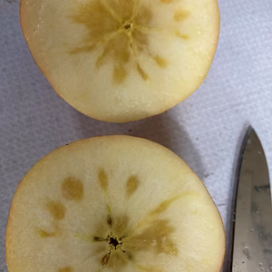 農薬散布3回のみ！超減農薬栽培　蜜入チェック済こうとく箱込約1.5キロ6-10