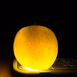 光るりんご　蜜がたっぷりこうとく『こうとく』小玉６個入り