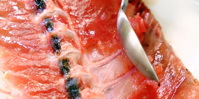 「マグロの背骨からねぎとる中落ち丼」をオフィスでつくって食べた【オフィスまかない】