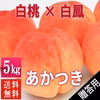 あかつき 5kg 贈答用