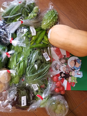 みんなの投稿の画像