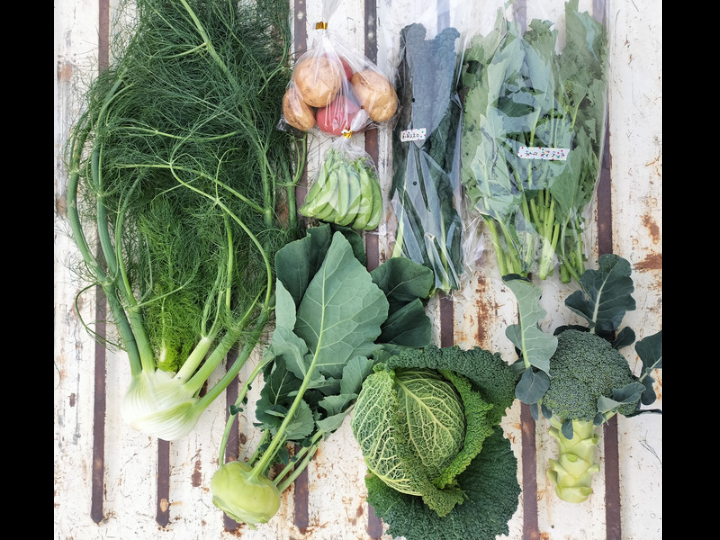 冬のカラフル野菜、コンパクト便 - 野菜