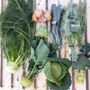 【月1定期便】渥美半島産♪イタリア野菜セット/冬の3ヶ月限定