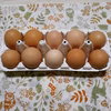 【選べるパック数✨】40個or60個入り会津地鶏のたまご【平飼い有精卵】