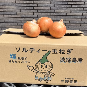 淡路島産ソルティ玉ねぎ10キロ
