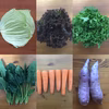 旬のお野菜（５点）　＜農薬・化学肥料不使用＞