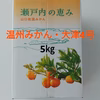 【土曜日21時まで限定お試し】家庭用　大小いろいろサイズ　箱込5㎏山口岩国みかん