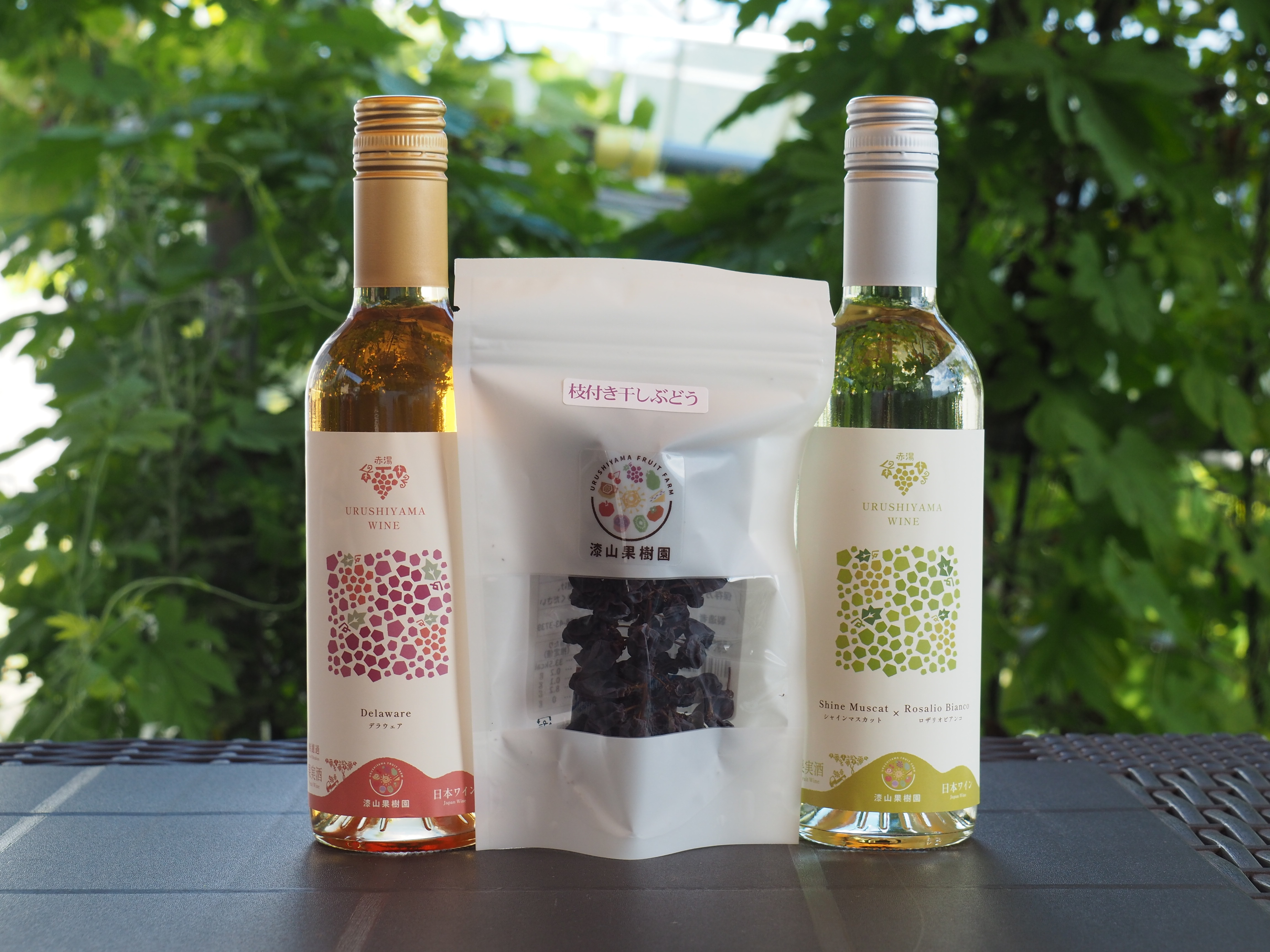 デラウェアの産直通販・お取り寄せ商品｜ポケットマルシェ｜産地直送で