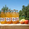 【ポケマルの夏ギフト】減農薬りんご100%の無添加ジュース　3種類6本セット