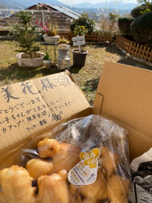 みんなの投稿の画像