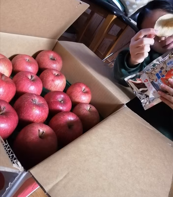 みんなの投稿の画像