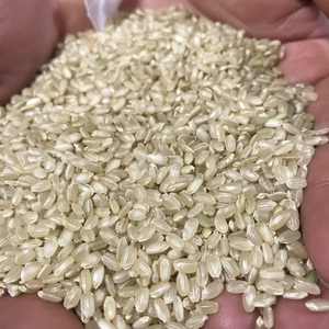 30年産 玄米5kg ひのひかり
