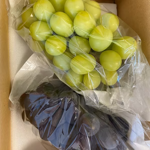 山梨のぶどう　２種詰め合わせ　巨峰、シャインマスカット