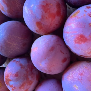 【冷凍すもも】太陽　カットして冷凍したもの（真空パック）皮付き