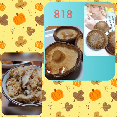 みんなの投稿の画像