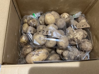 みんなの投稿の画像