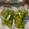 【ご自宅用】シャインマスカット※クール冷蔵便