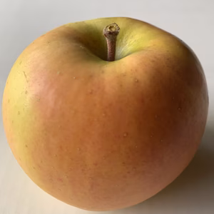 ※希少品種※甘酸っぱいりんごは好きですか？『こうこう』【ご自宅用】