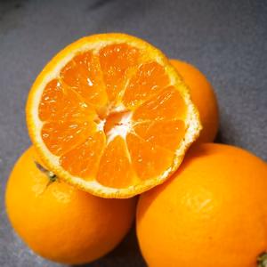 サラブレッドな血統　はれひめ　4㌔　おまけつき